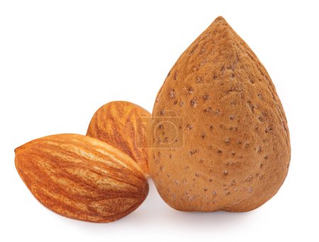 Photo for Close up group of whole  almonds nuts and Almond nuts with shell  isolated on white backgroun - Royalty Free Image