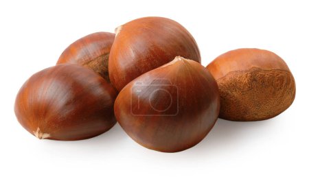 Photo for Horse Chestnuts isolated on white background. Fresh Chestnuts closeup. - Royalty Free Image