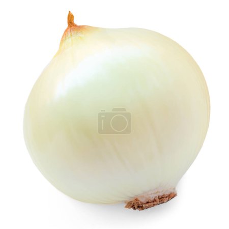 Photo for Peeeled Onion isolated on white background.  Whole yellow onion bulb closeu - Royalty Free Image