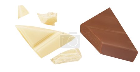 Photo for White and brown chocolate pieces isolated on white background.  Milk Chocolate collection Top view. Flat la - Royalty Free Image