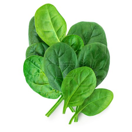 Photo for Spinach leaves isolated on white background. Pile of fresh green Espinach Macro. Top view. Flat lay - Royalty Free Image