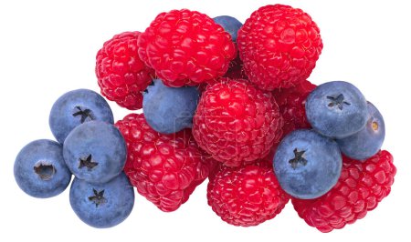Wild Berries mix isolated on white background. Fresh raspberry and blueberry closeup. Package design element