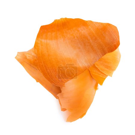 Photo for Onion Peel Isolated on White Background. Onion skin  Top view, flat la - Royalty Free Image