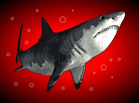 Téléchargez les illustrations : Requin blanc regarder proie vecteur modèle - en licence libre de droit