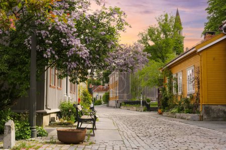 Photo for Bakklandet- popular torusitic district in Trondheim with colorful wooden houses and shops - Royalty Free Image