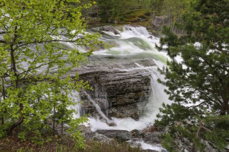 Téléchargez les photos : Inondation printanière sur la rivière Rauma située dans la partie centrale de la Norvège - en image libre de droit