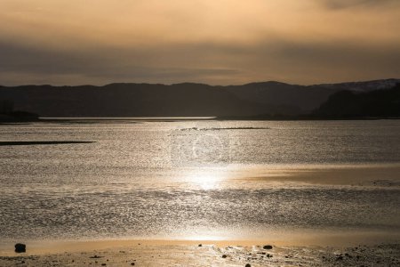 La rivière Gaula se jette dans le fjord de Trondheim, les canards attendant le printemps sur la petite île dans la réserve naturelle de Gaulosen