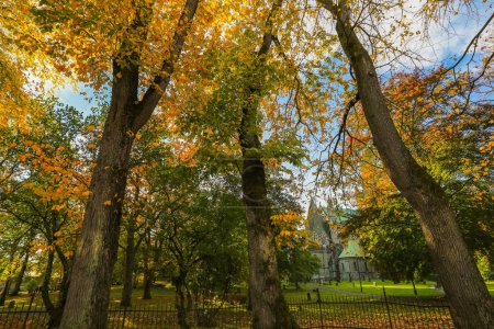 Herbst in Trondheim, Blick auf den Nidaros-Park und die Kathedrale Nidarosdomen 