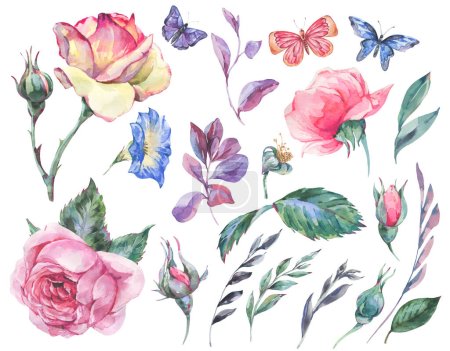 Foto de Conjunto de acuarela de jardín vintage rosa ramo tarjeta de felicitación, ilustración floral botánica aislada en blanco - Imagen libre de derechos