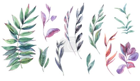 Téléchargez les photos : Aquarelle vintage feuilles tropicales collection naturelle, ensemble floral botanique isolé sur blanc - en image libre de droit