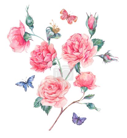 Foto de Tarjeta de felicitación de ramo de rosas de jardín vintage de acuarela, ilustración floral botánica aislada en blanco - Imagen libre de derechos