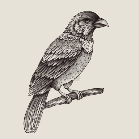 Téléchargez les photos : Oiseau fantaisie tropical monochrome vintage, oiseaux isolés dessinés à la main sur beige - en image libre de droit