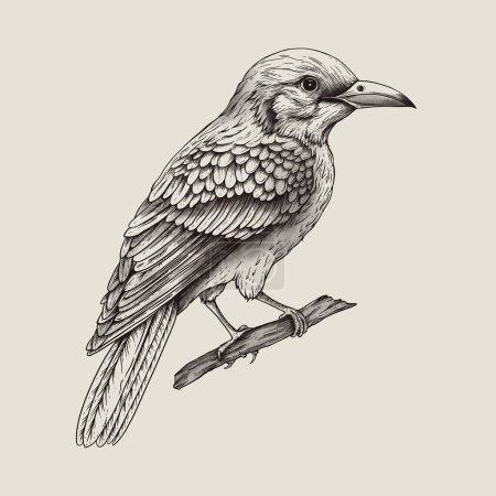 Photo for Vintage monochrome tropical fantasy bird, isolated hand drawn birds on beige - Royalty Free Image