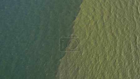 Foto de Vista aérea del mar tropical con flores de plancton visto en la playa de Bangseang en Chonburi Tailandia - Imagen libre de derechos