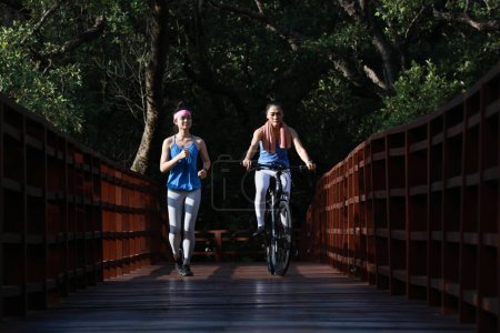 Téléchargez les photos : Deux femmes en costume de sport font du vélo et de l'exercice de course sur un pont en bois dans le jardin, mode de vie sain - en image libre de droit