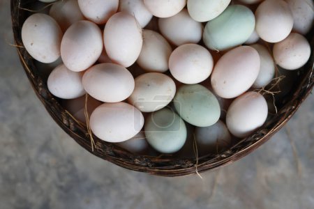 Téléchargez les photos : Gros plan des œufs de canard dans un plateau d'emballage dans une maison de canard en attente d'expédition pour la vente.Empilés dans des couches d'œufs de canard blanc frais dans le plateau à vendre - en image libre de droit