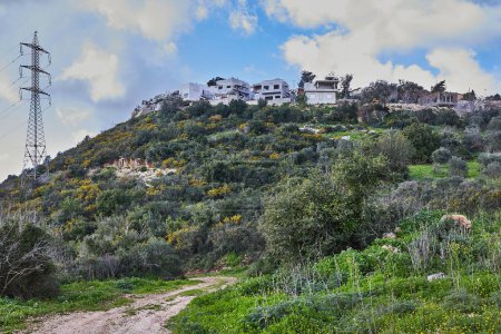A rocky hill with a dirt road leading to a moderns villas surrounded by greenery under a clear blue sky with fluffy white clouds, creating a picturesque scene ideal for relaxation.