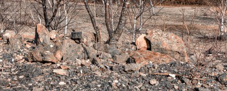 Fond rocheux caillouteux - sec sans vie - image de la bannière