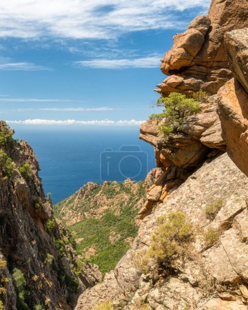 Photo for Beautiful seascape with the scenographic rock formations known as Calanques de Piana. Corse, France. - Royalty Free Image