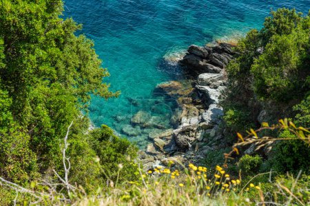 Téléchargez les photos : Beau paysage près de la Torra di l'Osse. Cape Corse, Corse, France. - en image libre de droit