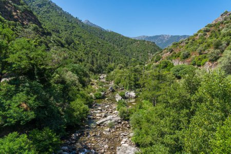 Téléchargez les photos : The beautiful Golo river on a summer morning, in northern Corse, France. - en image libre de droit