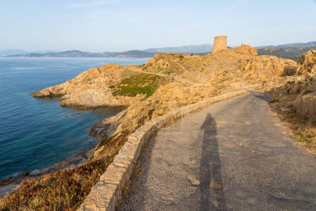 Téléchargez les photos : Vue panoramique du phare d'Ile Rousse (Isola Rossa), en Corse, France. - en image libre de droit