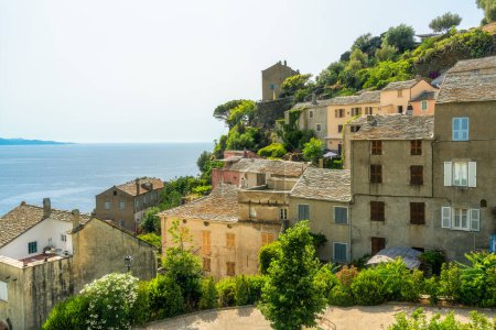 Photo for The beautiful village of Nonza on a summer afternoon, in Corse, France. - Royalty Free Image