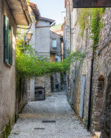 Téléchargez les photos : Vue panoramique à Poggio Catino, village pittoresque sur la province de Rieti, Latium, Italie centrale. - en image libre de droit