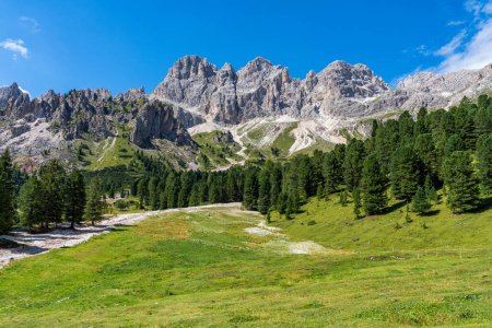 Foto de Hermoso paisaje alpino cerca de las torres Vajolet en Trentino Alto Adigio, norte de Italia. - Imagen libre de derechos