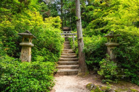 Photo for Scenic sight in Momijidani Park in Miyajima (Itsukushima), Hiroshima, Japan. - Royalty Free Image