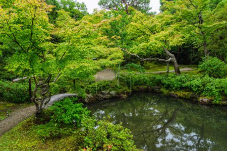 Téléchargez les photos : Vue panoramique dans le merveilleux jardin d'Isuien à Nara. Japon. - en image libre de droit
