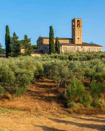 Téléchargez les photos : Le monastère de Monte Oliveto Minore, près de San Giminiano, l'après-midi ensoleillé d'été. Province de Sienne, Toscane, Italie. - en image libre de droit