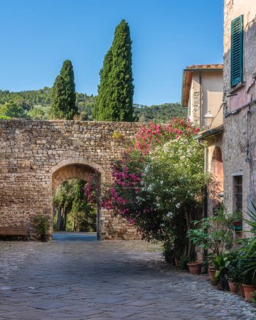 Téléchargez les photos : Le beau village de Suvereto par un après-midi d'été ensoleillé. Province de Livourne, Toscane, Italie. - en image libre de droit