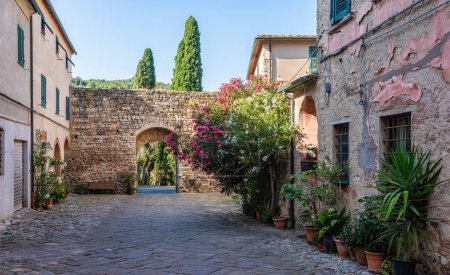 Le beau village de Suvereto par un après-midi d'été ensoleillé. Province de Livourne, Toscane, Italie.