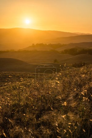 Foto de Hermoso paisaje toscano cerca de Volterra, en la provincia de Pisa, Toscana, Italia. - Imagen libre de derechos
