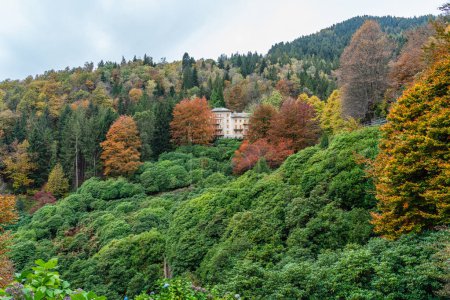 Foto de Vista panorámica de la temporada de otoño en el Oasi Zegna. Provincia de Biella, Piamonte, Italia. - Imagen libre de derechos