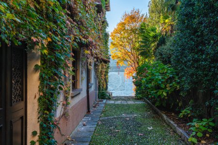 Téléchargez les photos : Vue panoramique en fin d'après-midi à Orta San Giulio pendant la saison automnale. Province of Novara, Piémont, Italie. - en image libre de droit