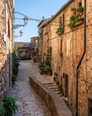 Foto de El hermoso pueblo de Chiusdino en una soleada mañana de verano. Provincia de Siena, Toscana, Italia. - Imagen libre de derechos
