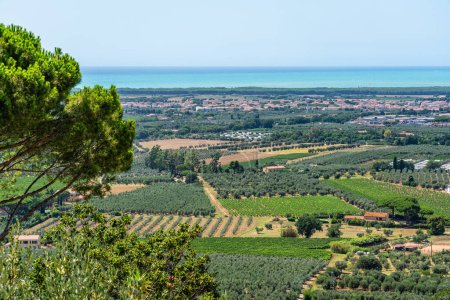 Foto de Vista panorámica en el pueblo de Castagneto Carducci, en la provincia de Livorno, Toscana, Italia. - Imagen libre de derechos