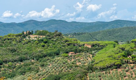 Foto de Vista panorámica en el pueblo de Castagneto Carducci, en la provincia de Livorno, Toscana, Italia. - Imagen libre de derechos