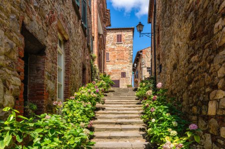 Foto de Lucignano, maravilloso pueblo en la provincia de Arezzo. Toscana, Italia. - Imagen libre de derechos