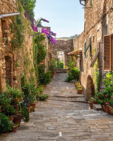 Scenic sight in the village of Campiglia Marittima, on a sunny summer afternoon. In the Province of Livorno, in the Tuscany region of Italy.