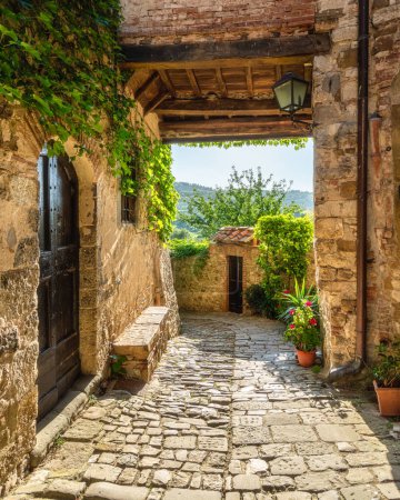 Das malerische Dorf Montefioralle in der Nähe von Greve in Chianti an einem sonnigen Sommertag. Provinz Florenz, Toskana, Italien.