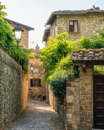 Das malerische Dorf Montefioralle in der Nähe von Greve in Chianti an einem sonnigen Sommertag. Provinz Florenz, Toskana, Italien.