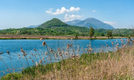 Photo for Idyllic view at Posta Fibreno Lake Natural Reserve. In the province of Frosinone, Lazio, Italy. - Royalty Free Image