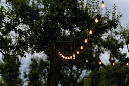 Téléchargez les photos : Lumières décoratives en plein air suspendues à un arbre dans le jardin la nuit - en image libre de droit