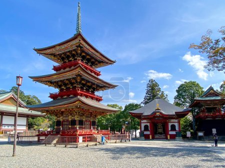Foto de Pagoda de Narita San templo en Narita Japón - Imagen libre de derechos