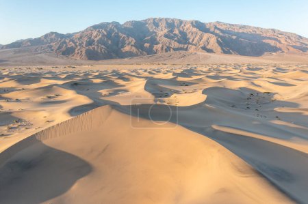 Téléchargez les photos : Vue panoramique sur le motif naturel de sable ondulé au lever du soleil à Mesquite Flat Sand Dunes, Death Valley National Park, Californie, États-Unis. Promenade matinale dans le désert de Mojave avec Amargosa Mountain Range à l'arrière - en image libre de droit