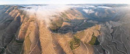 Photo for Aerial view of the terraced vineyards in romantic sunset in the Douro Valley near the village of Pinhao. Concept for travel in Portugal and most beautiful places in Portugal Port wine  farm Unesco - Royalty Free Image