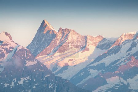 Téléchargez les photos : Vue printanière colorée sur le Mont Blanc (Monte Bianco) en arrière-plan, emplacement Chamonix. Belle scène en plein air au Lac Blanc, Réserve Naturelle du Vallon de Berard, Aiguilles Rouges, Alpes Graïennes, France - en image libre de droit